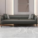 Color Dark Gray
