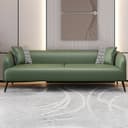 Color Olive Green