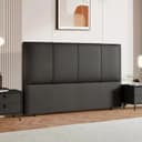 Color Black