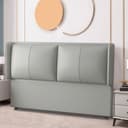 Color Light Gray