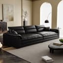 Color Black