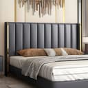 Color Dark Gray