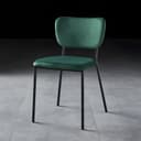Color Blackish Green