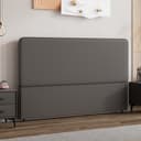 Color Dark Gray