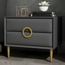 Color Dark Gray/Gold