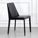 Color Black