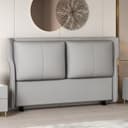 Color Light Gray