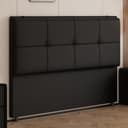 Color Black