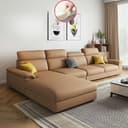 Color Light Brown
