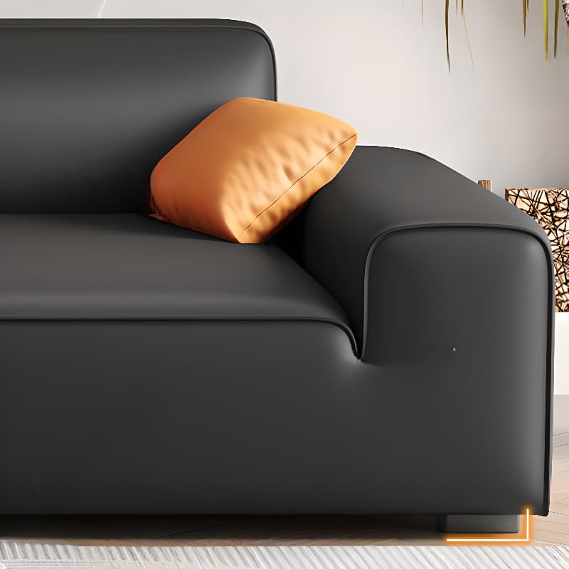 Midnight Black/White Standard Sofa/Loveseat with Armrest for Drawing Room thumbnail 8