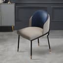 Color Gray/Blue