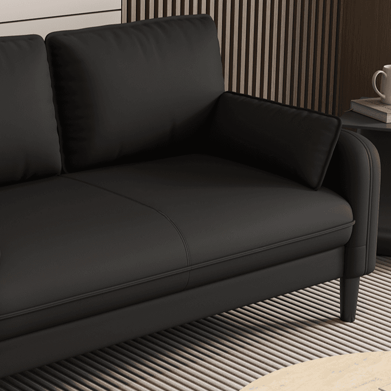 Trendy Water Resistant Standard Sofa/Loveseat/Single Sofa with Pillow Back in Dark Gray/White/Olive Green, Arm Included, Seats 3/2 People/1 Person with 2 Pillows thumbnail 14