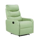 Upholstery Color Green