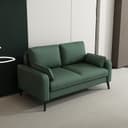 Color Blackish Green