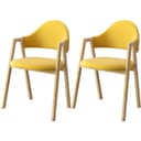 Color Yellow