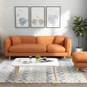 Color Orange